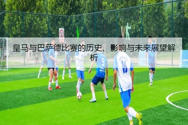 img_1781089267058_17_0_981.jpg