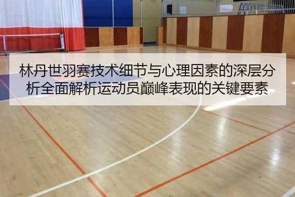 林丹世羽赛技术细节与心理因素的深层分析全面解析运动员巅峰表现的关键要素