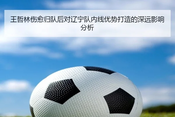 王哲林伤愈归队后对辽宁队内线优势打造的深远影响分析